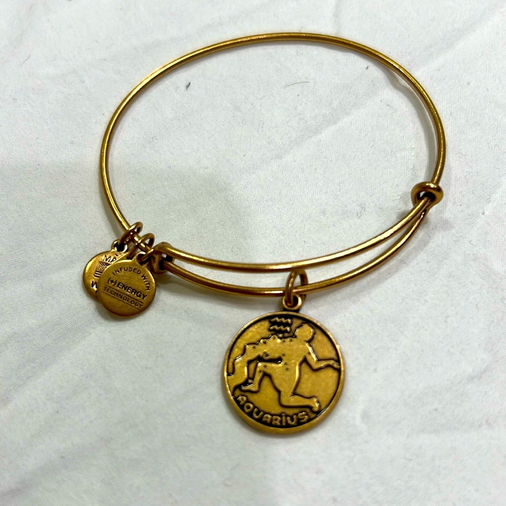 Alex and Ani Aquarius charm bracelet gold